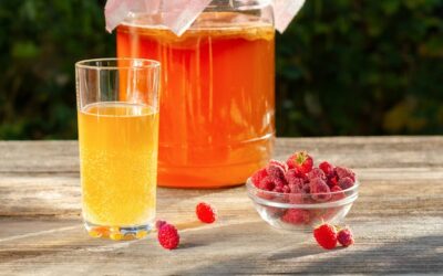 Ile soku z jednej brzozy można zebrać podczas wiosennego poboru?