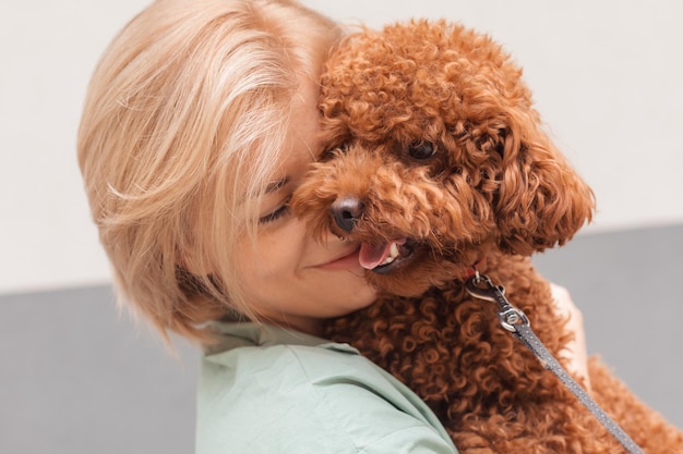 Pudel czy ma włosy czy sierść?